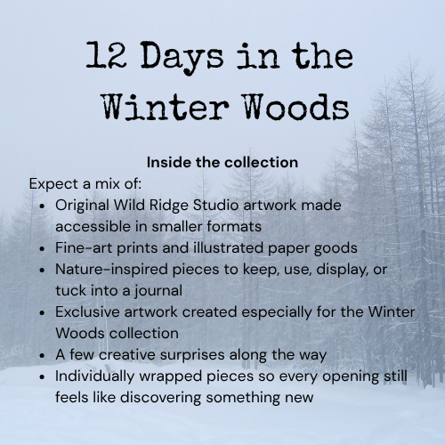 12 Days in the Winter Woods