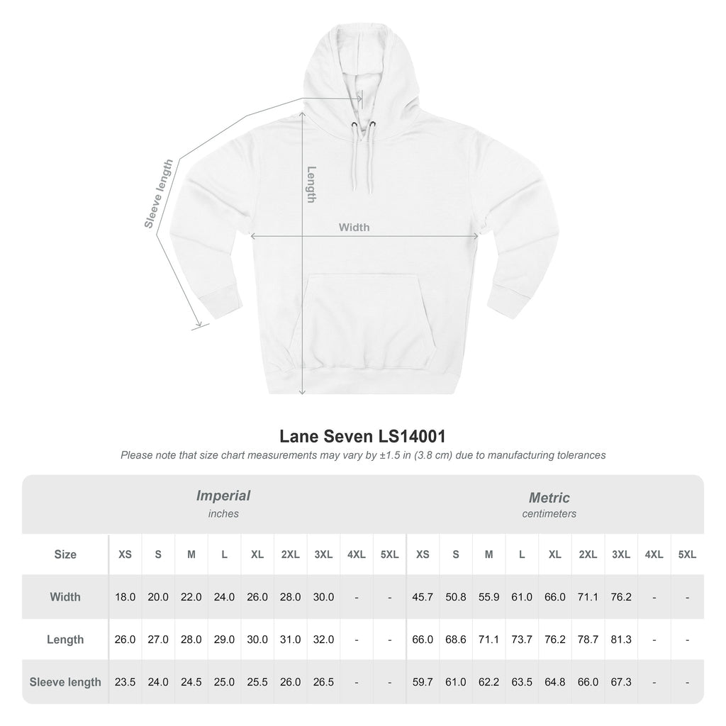 Charlottesville Illustrated Hoodie | Virginia Art Pullover