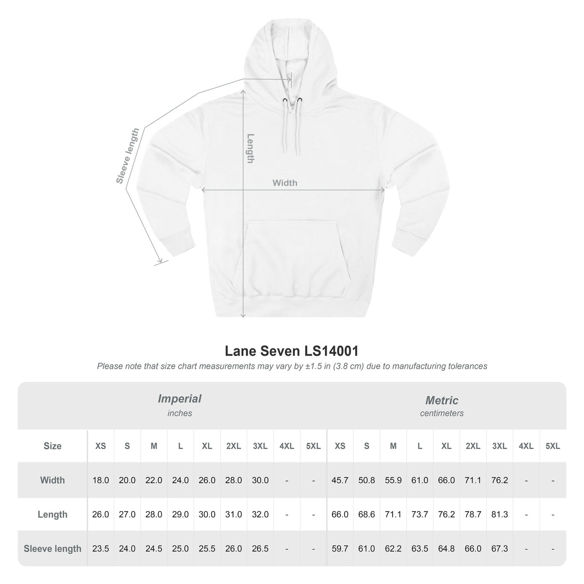 Charlottesville Illustrated Hoodie | Virginia Art Pullover