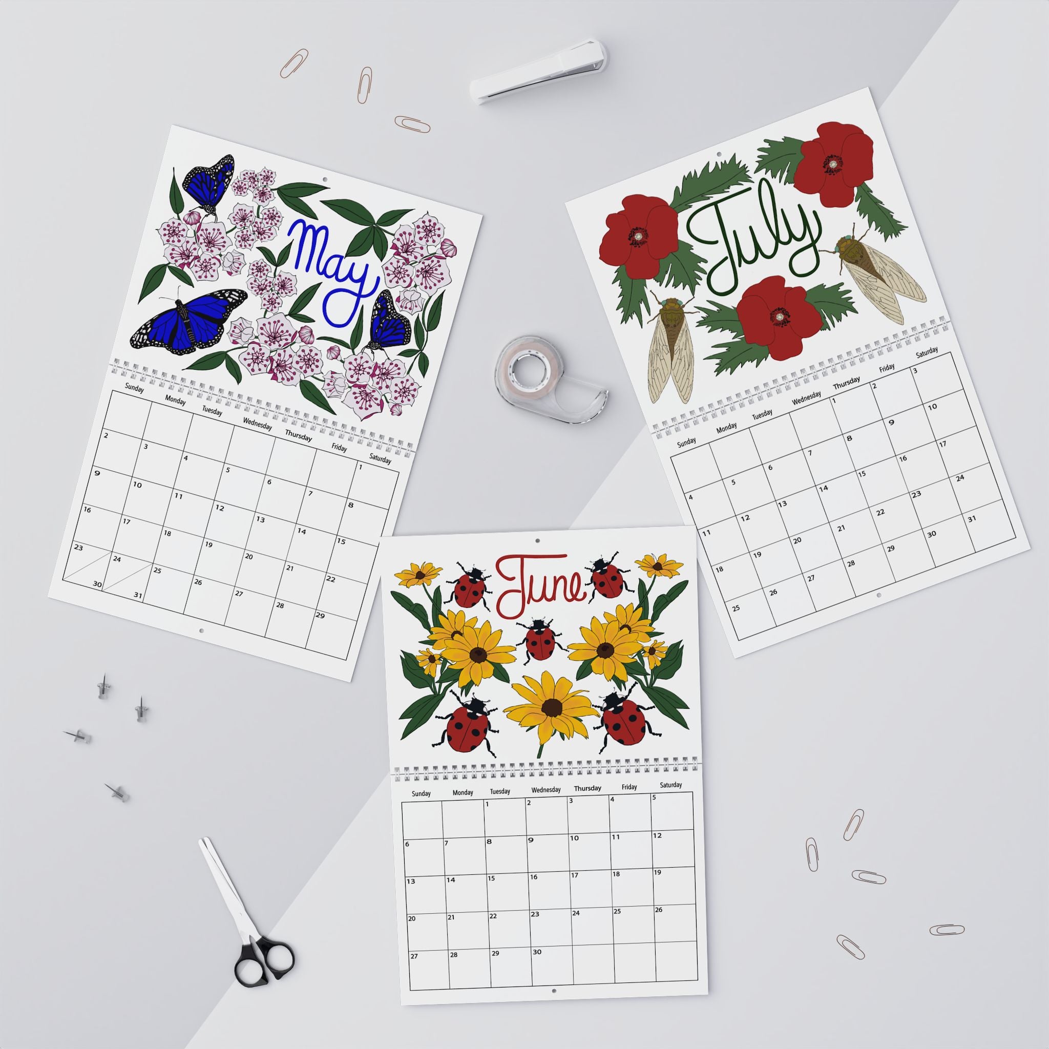 A Year of Wildflowers and Insects Calendar | August 2026–July 2027 Nature Wall Calendar