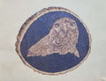 Cooper's Hawk Pyrography Print image 0