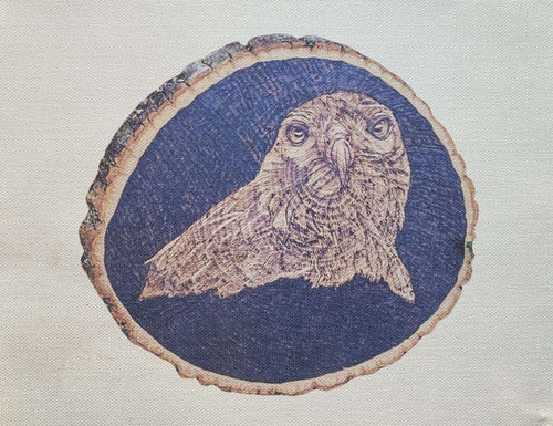 Cooper's Hawk Pyrography Print image 0