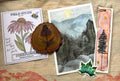 Wild & Collected Bundle