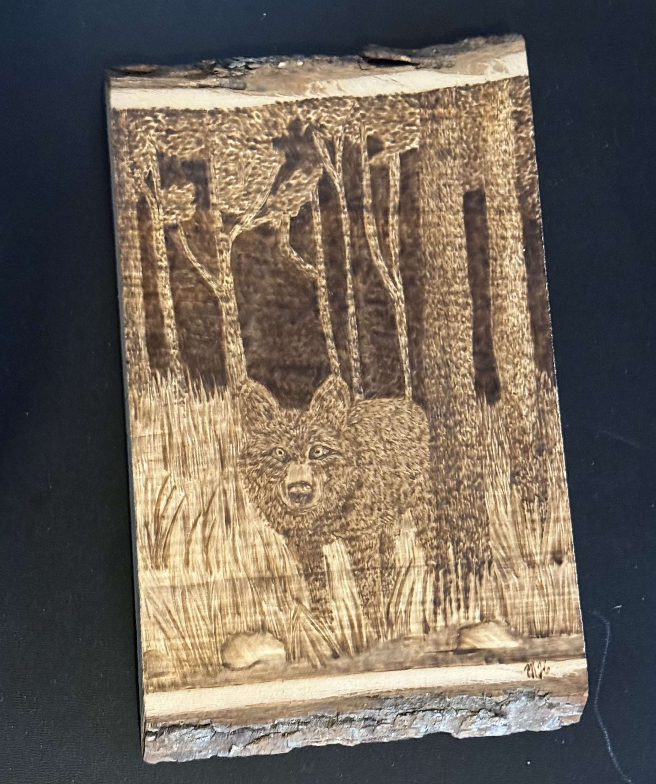 Wolf on the Edge – Hand-Burned Pyrography Wall Art image 0