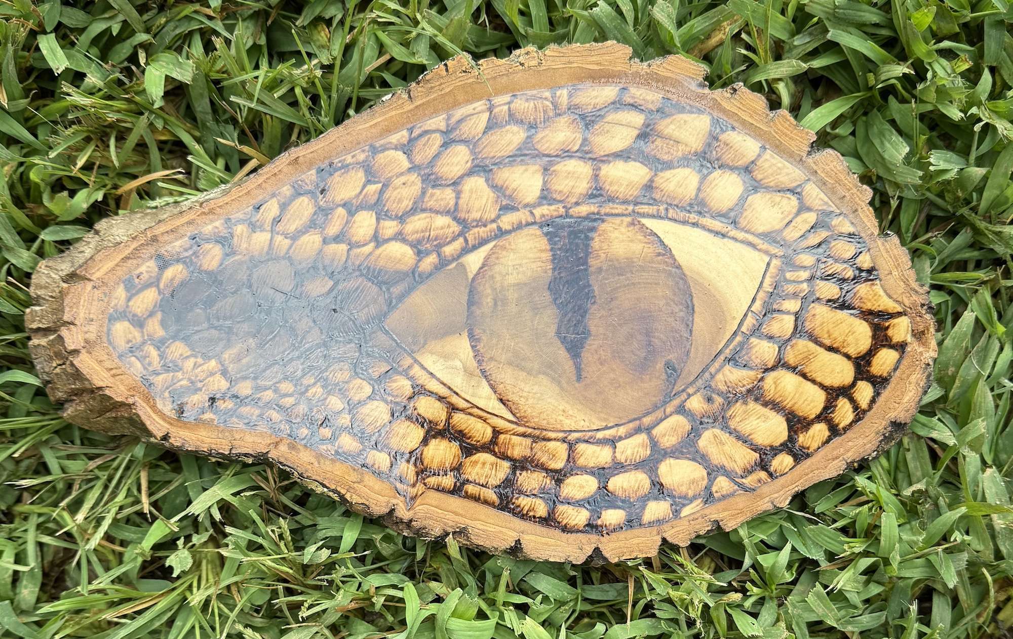 Dragon’s Gaze image 0