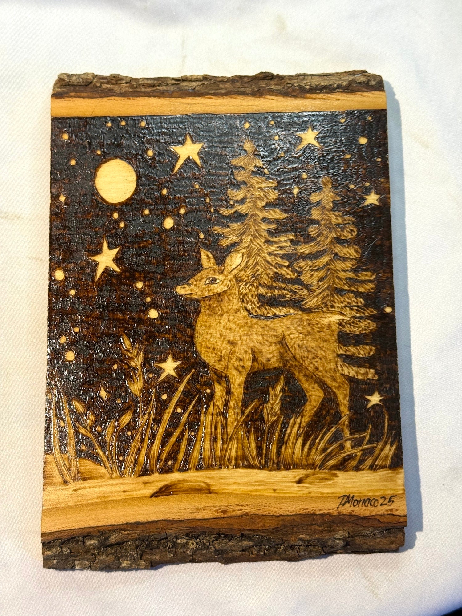 Moonlit Watcher image 0