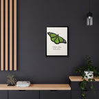 Follow What Feels Alive Monarch Butterfly Framed Poster