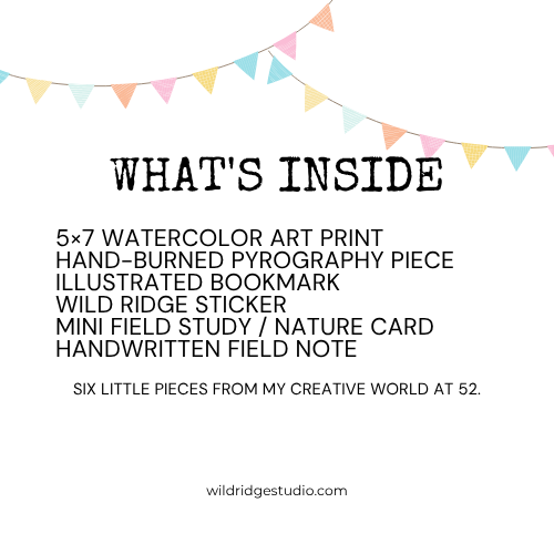 52 Trips Around the Sun Birthday Bundle