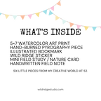 52 Trips Around the Sun Birthday Bundle