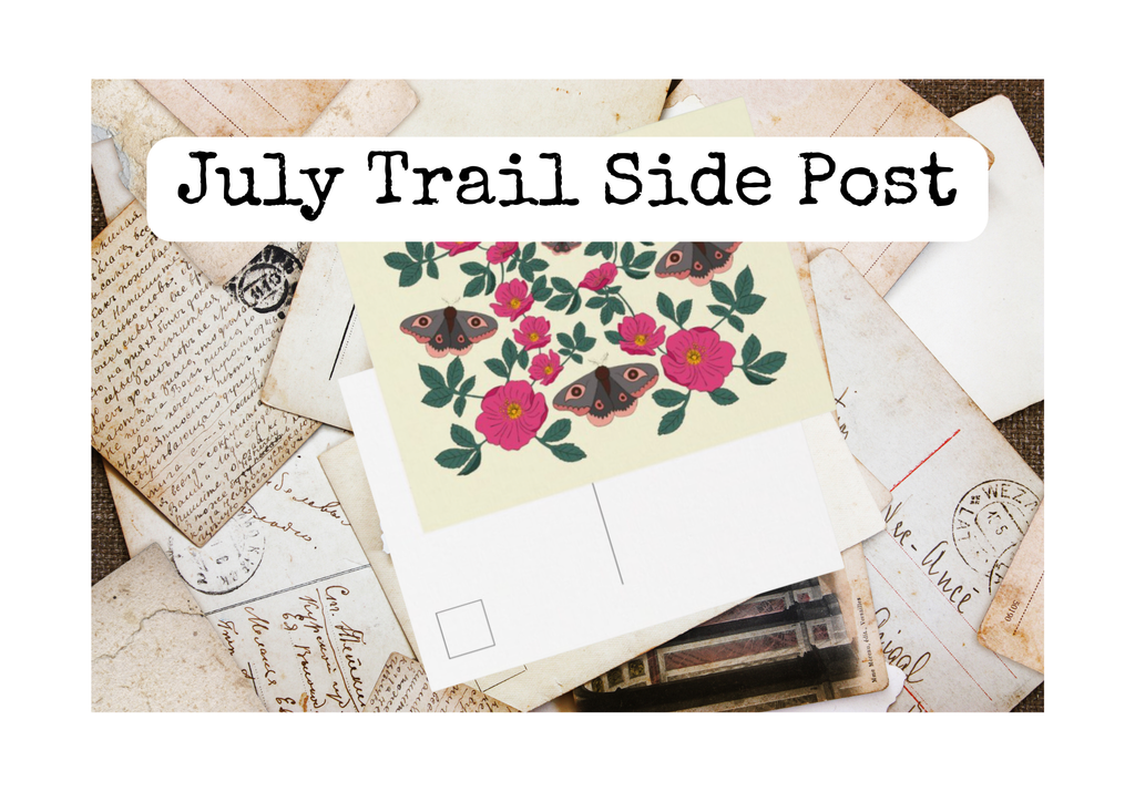 Trail Side Archive No. 002: Wild Rose + Moth
