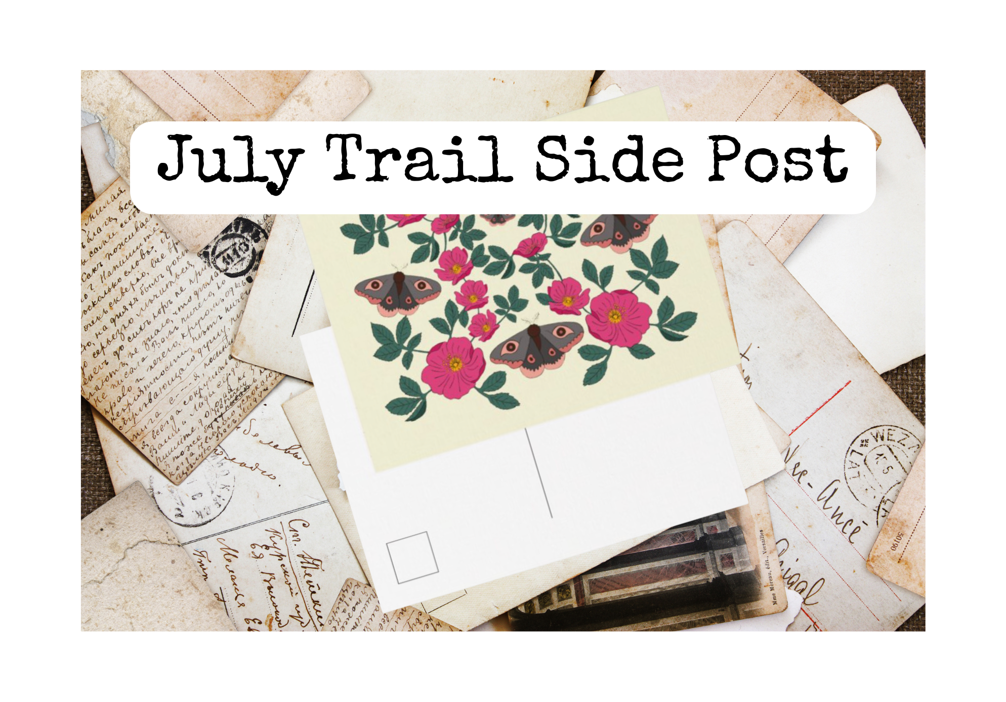 Trail Side Archive No. 002: Wild Rose + Moth