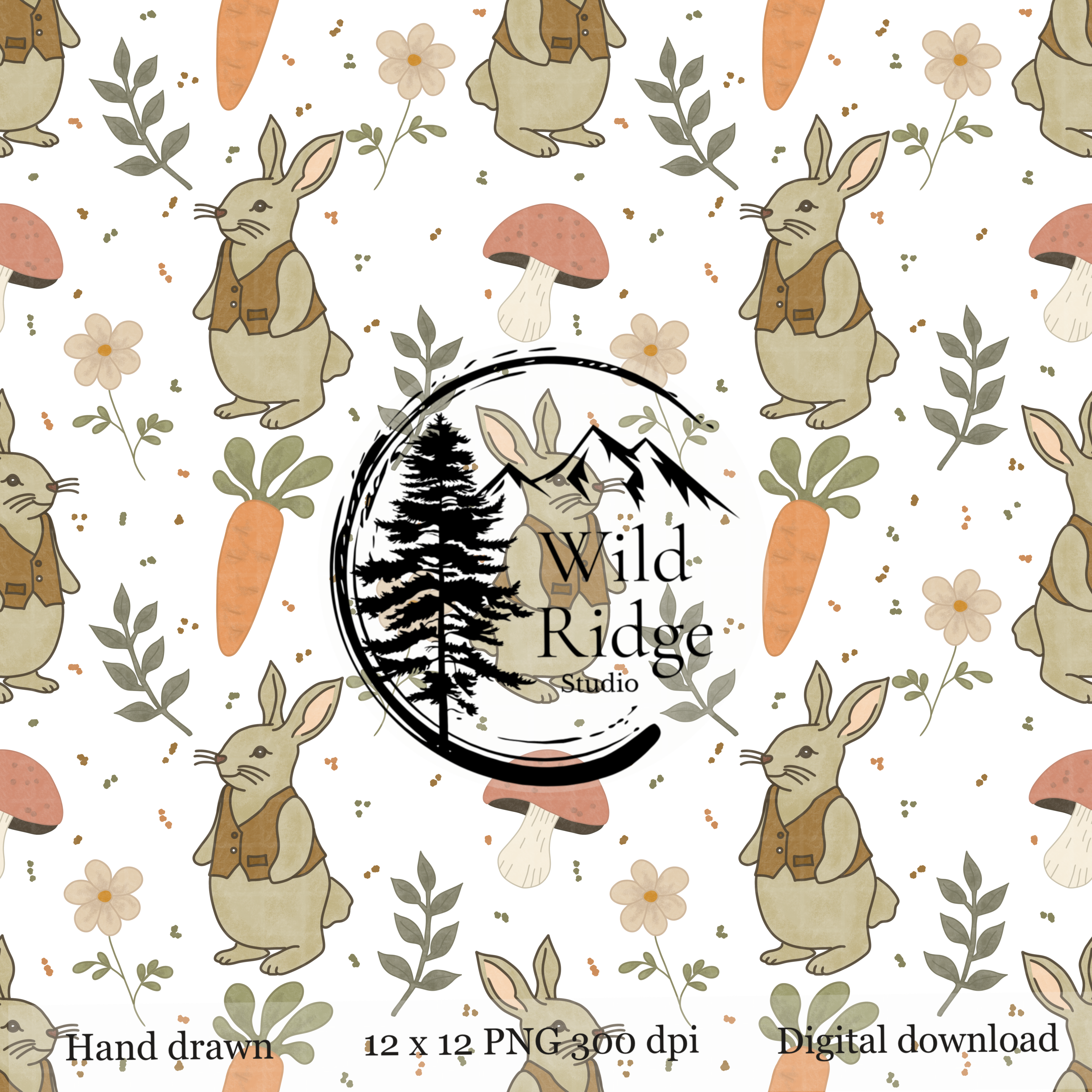 Storybook Rabbit