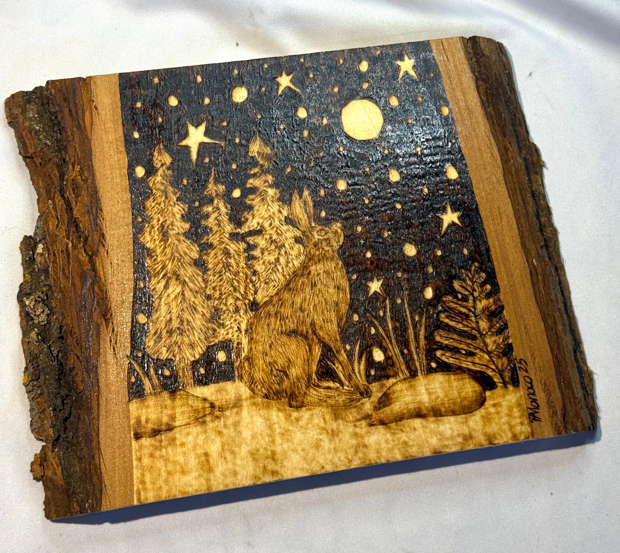 Moonlit Listening (Hare Under Stars) image 0