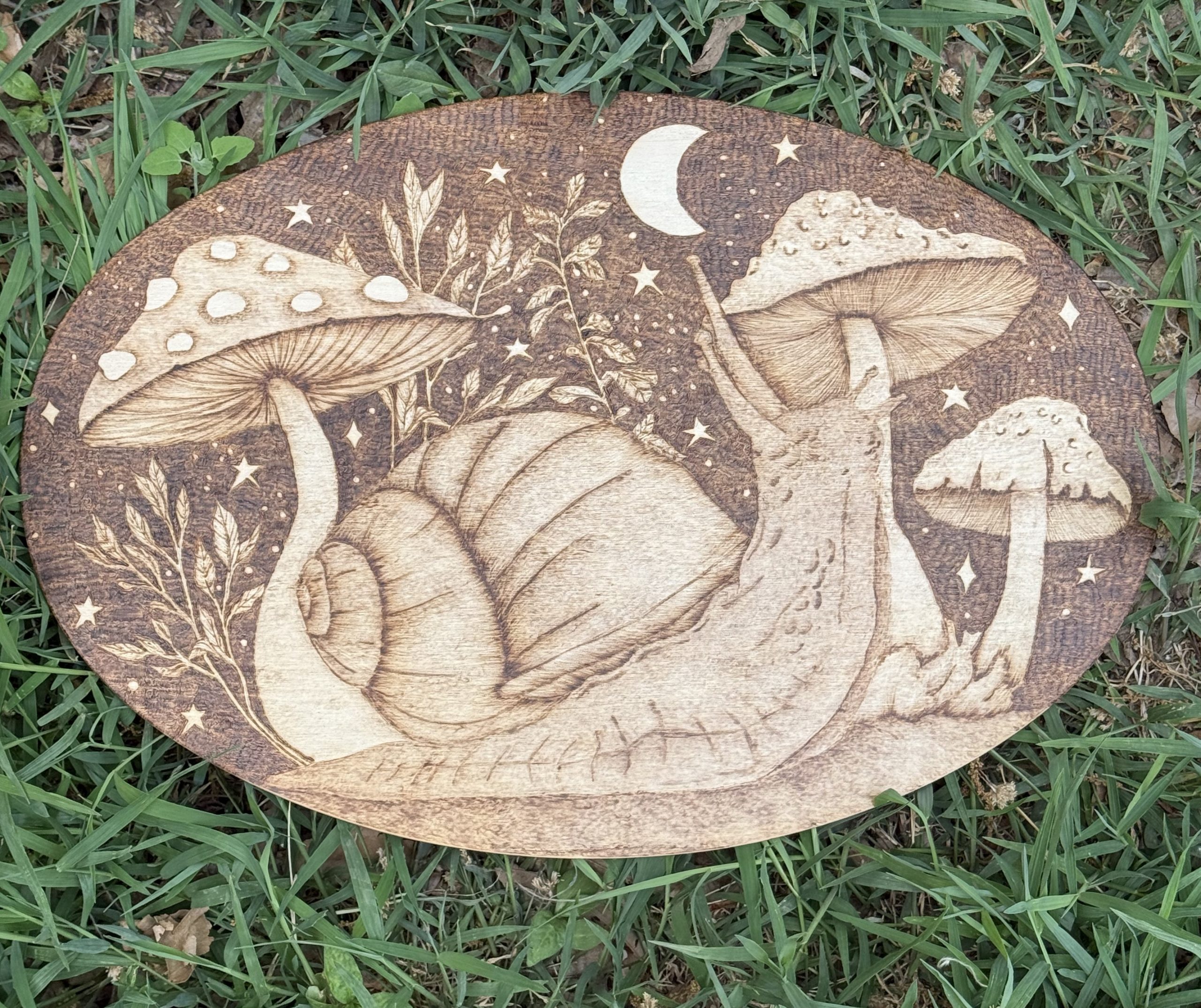 Beneath the Mushroom Moon