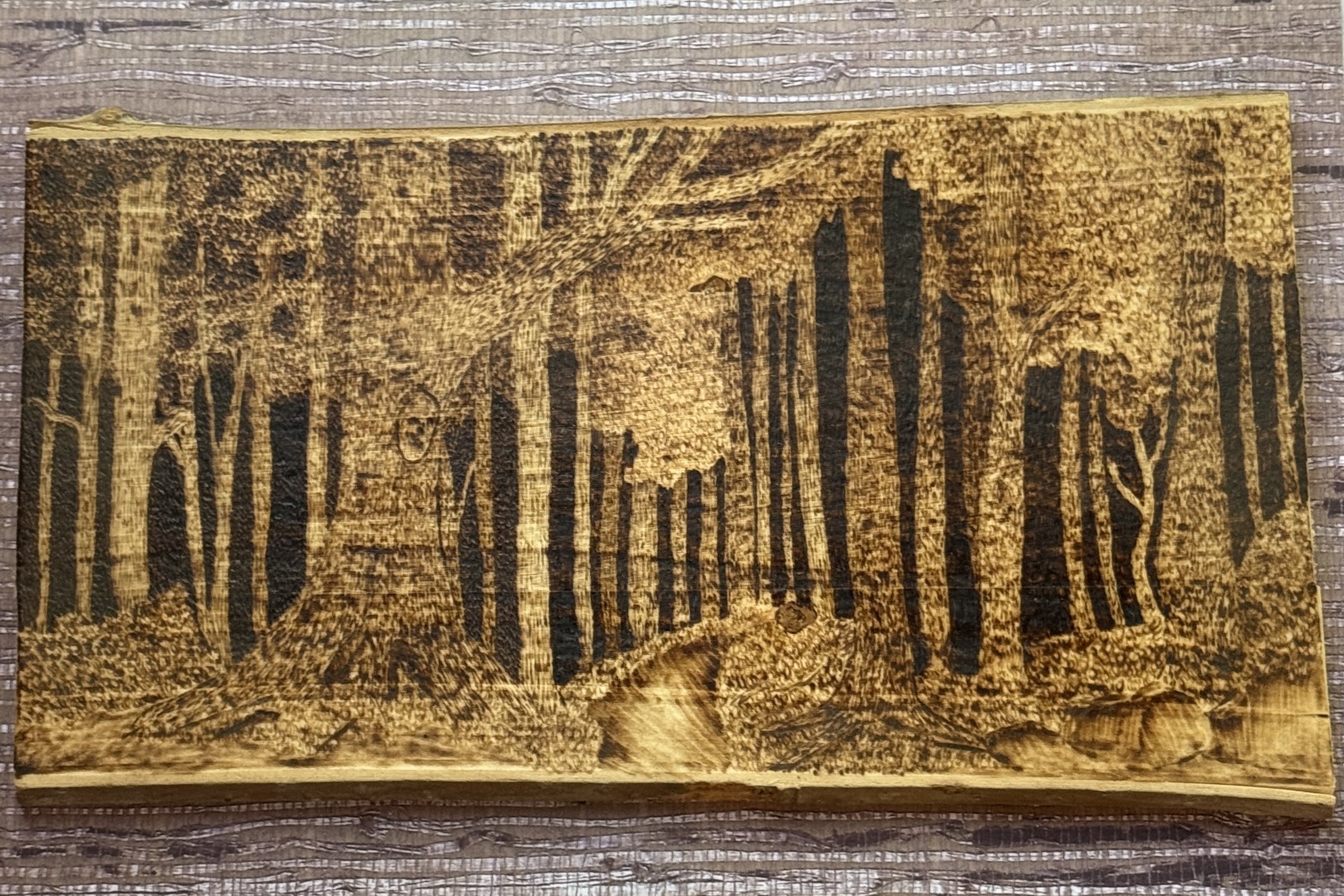 Into the Woods - Image 2