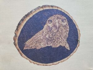 Cooper's Hawk Pyrography Print