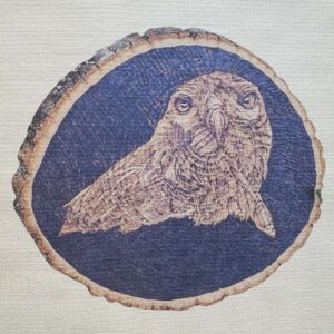 Cooper's Hawk Pyrography Print