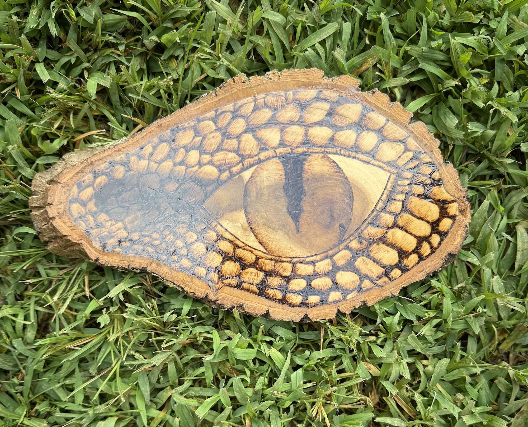 Dragon’s Gaze - Image 2