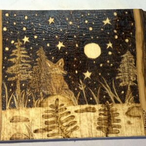 Night Watcher (Fox Under Stars)