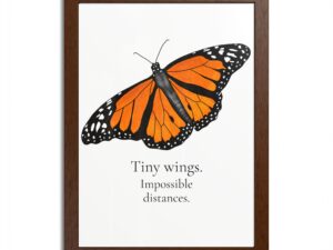 Monarch Butterfly Framed Poster - Tiny Wings. Impossible Distances.